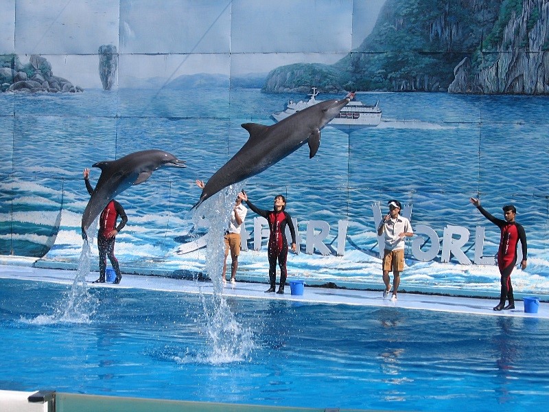 富國島珍珠島野生動物園
