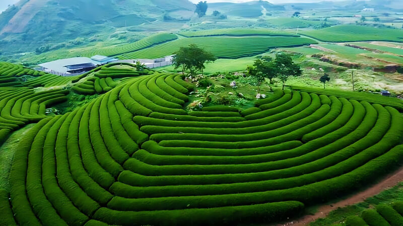 木州山羅