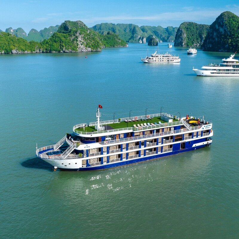 Dragon Cruise