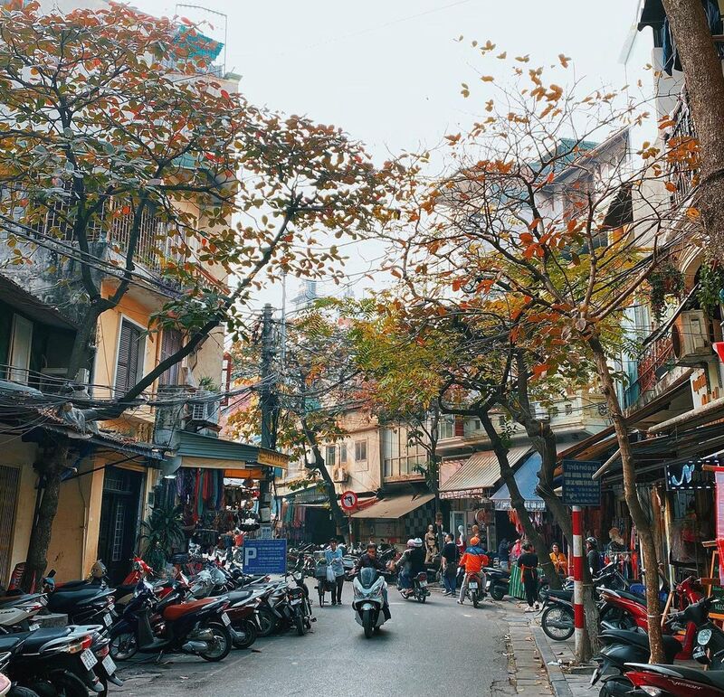 36古街(36 Old Streets)