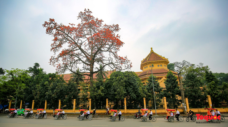 河內古街(Hanoi Old Quarter)