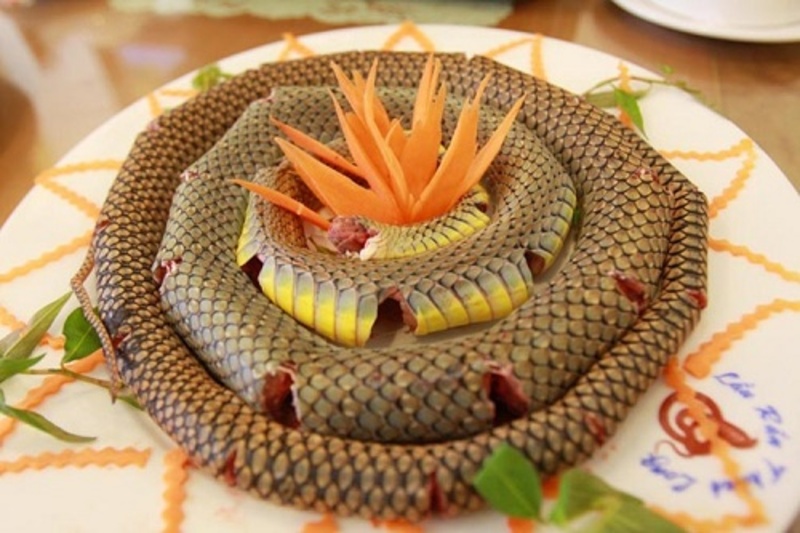 海蛇(Rắn biển)