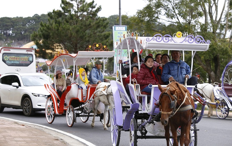 乘坐雙人自行車,漫步湖春香
