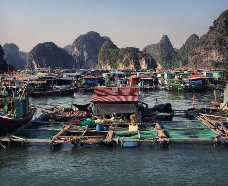 菜苞漁村,又名「Vụng O」,是吉婆島吸引遊客的重要旅遊點之一。