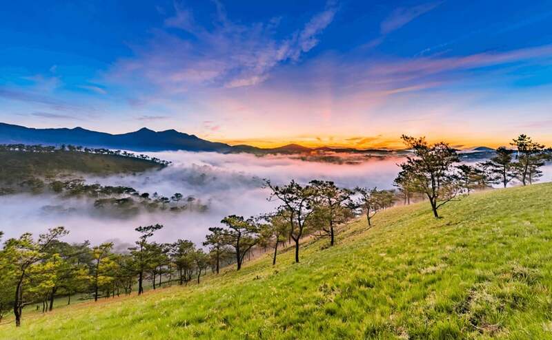 大叻站的旅遊體驗