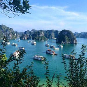 憑藉以上諸多優勢，提托普島正逐漸成為探索下龍灣旅程中不可或缺的一站。