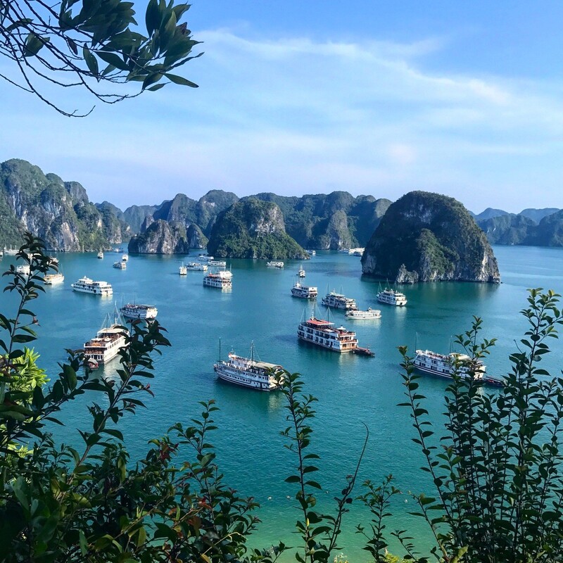 憑藉以上諸多優勢，提托普島正逐漸成為探索下龍灣旅程中不可或缺的一站。
