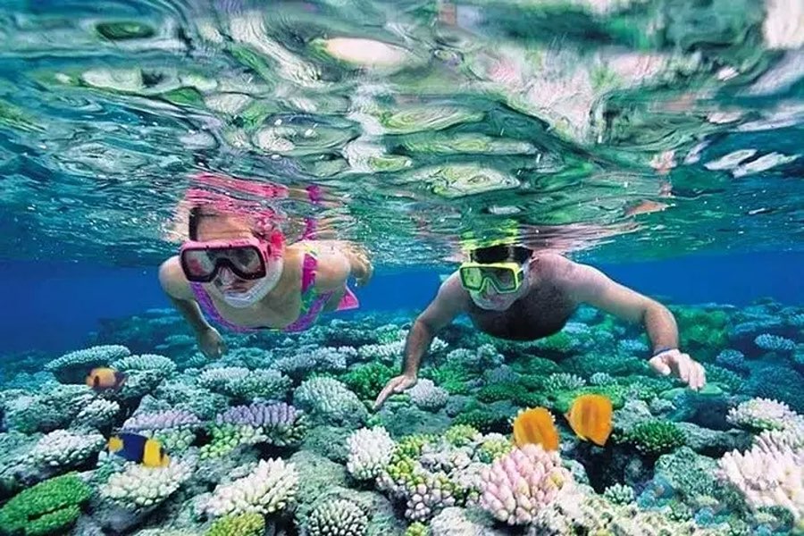 海灘活動——浮潛、划水、戲水樣樣有
