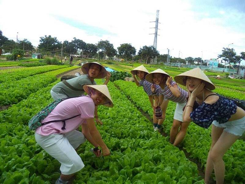 外國遊客參觀廣南省的茶桂菜村