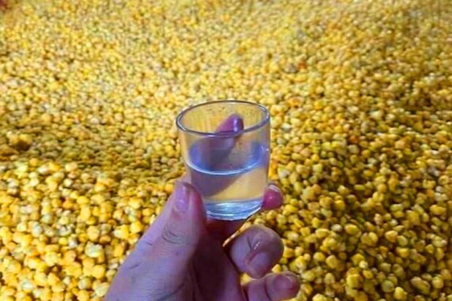 玉米酒與稻米酒