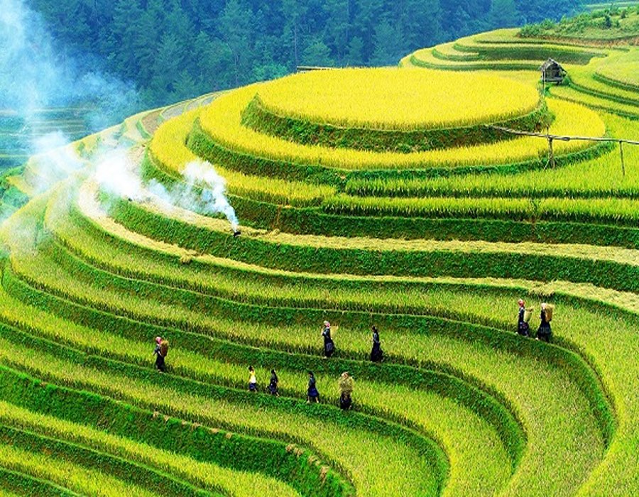 木江界