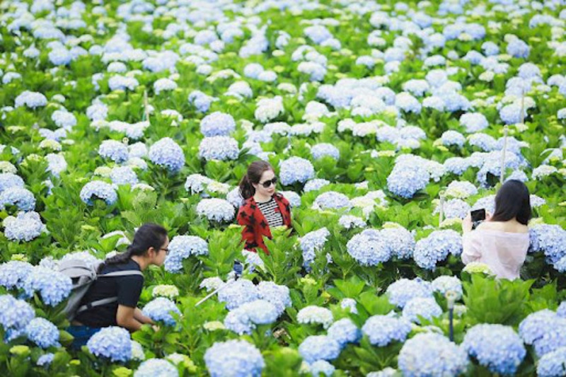 萬城花村是理想的打卡景點，拍照效果不亞於大叻的其他任何旅遊景點。