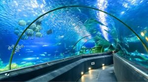 芽庄海洋研究院