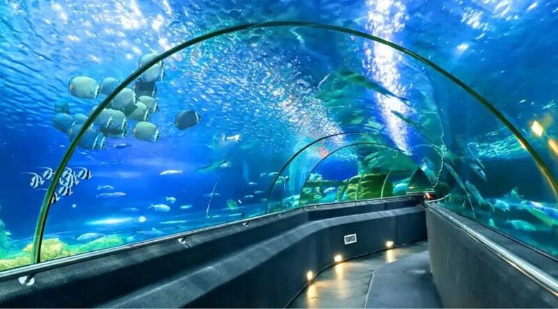 芽庄海洋研究院