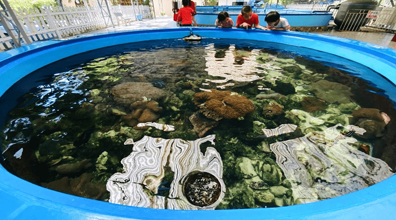 芽庄海洋研究院