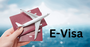 E-visa 讓如今各國之間的往來變得更加快速且方便。