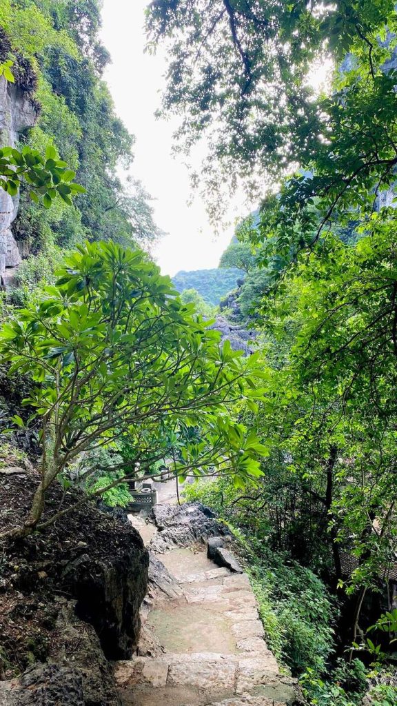 通往寺廟的小路兩側綠意盎然。