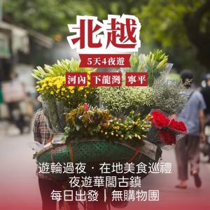 北越輕奢慢旅行5日｜河內・寧平・下龍灣｜遊輪過夜・在地美食巡禮・夜遊華閭古鎮・｜每日出發｜無購物團